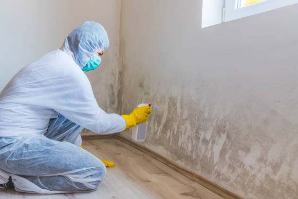 Hvac And Air Duct Mold Remediation inspection of HVAC system in New Berlin